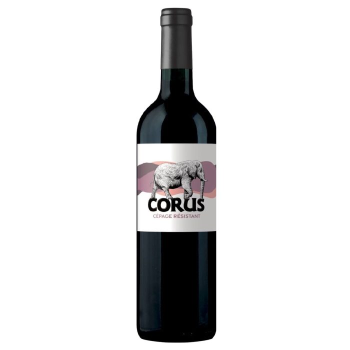 Corus - Cépage résistant