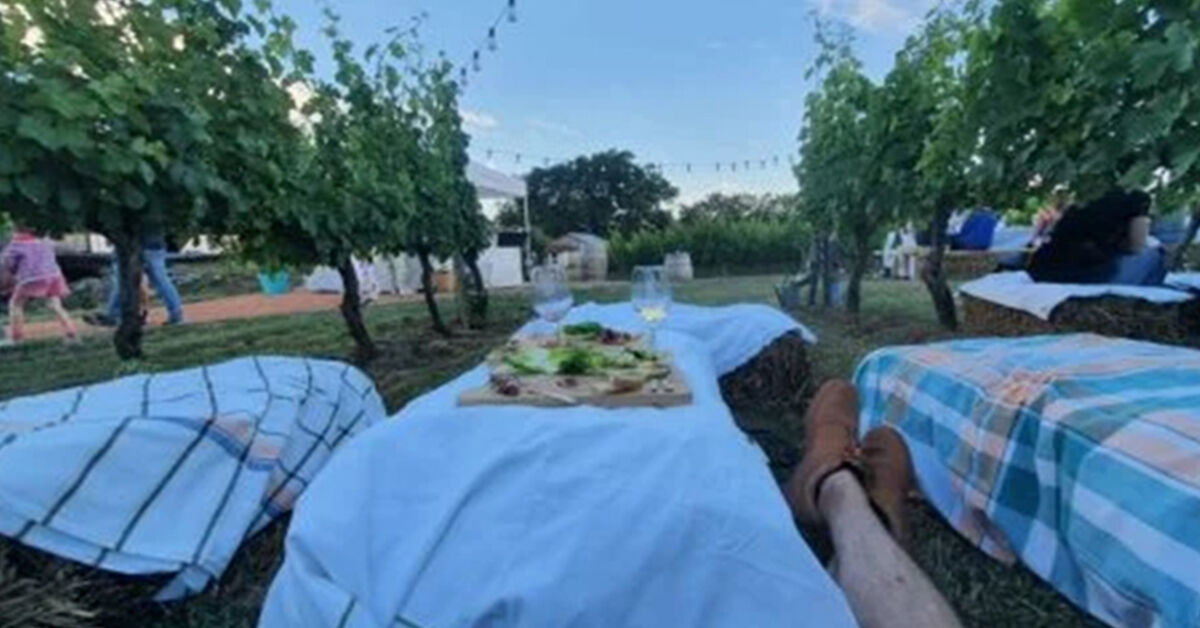 Vindredis (les) du 4 juillet 2025 au 29 aout 2025